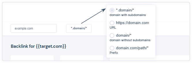 domain-input