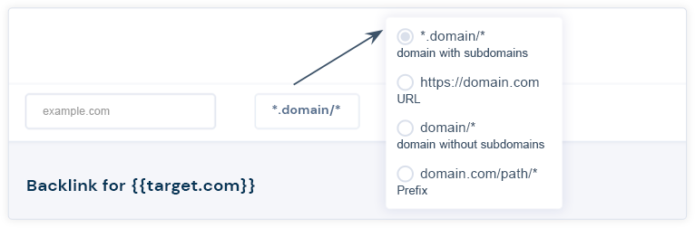 domain-input