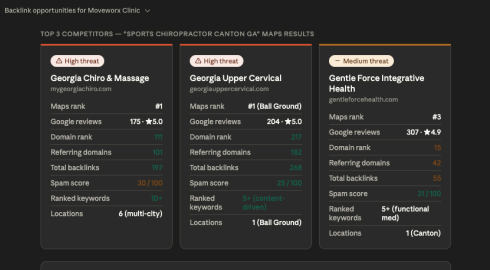 transformSEO & DataForSEO: From 10-Hour Reports to 45-Minute AI SEO Workflows 12 interface example 2